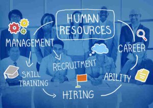 Best HR Software For Small Businesses in 2022