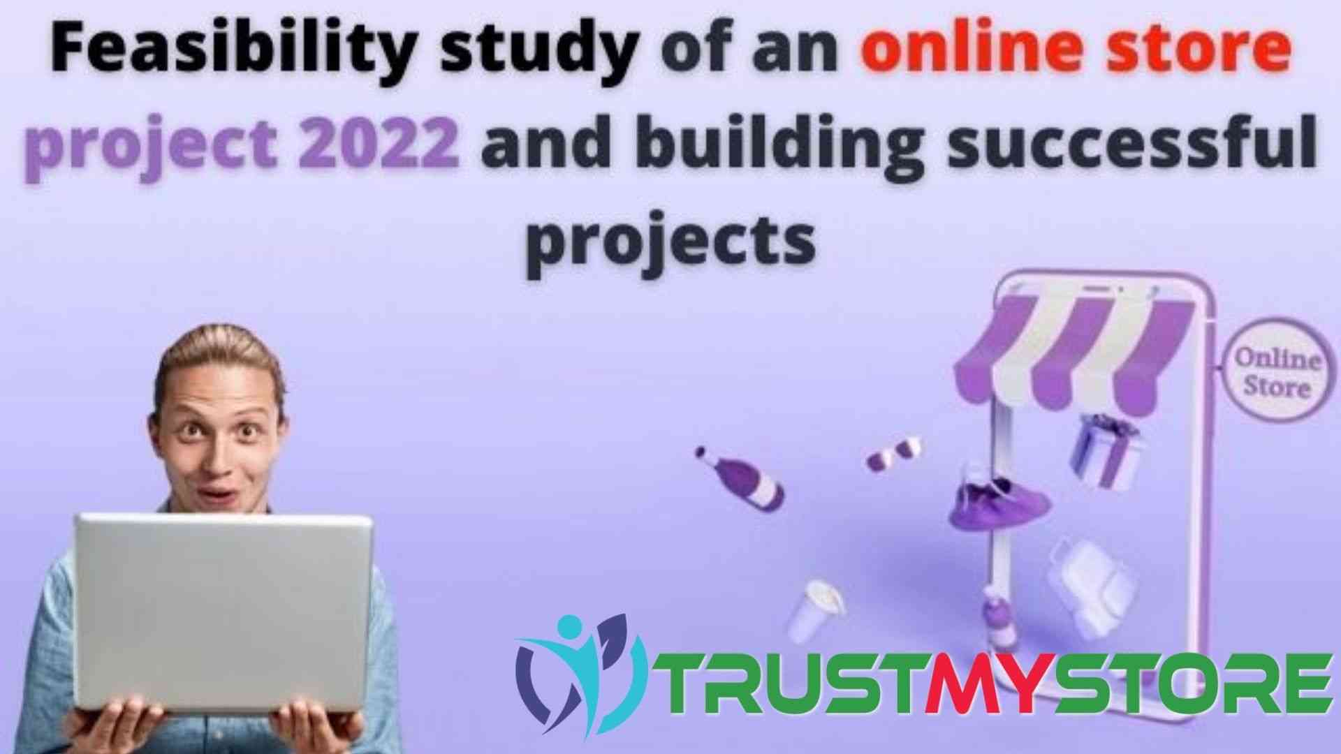 Feasibility study of an online store project building successful projects
