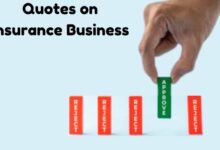 Quotes on Insurance Business