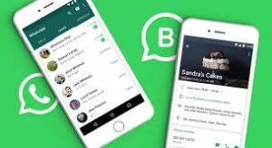 whatsapp for businesses