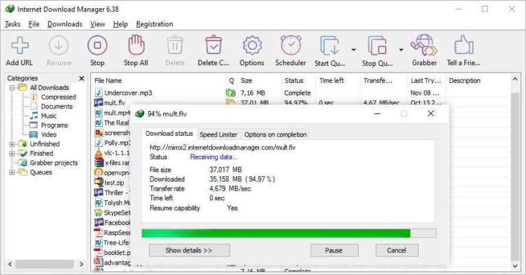 internet download manager free download version 6.40 Build 13