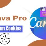 Canva Premium Cookies