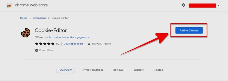 Add Cookie Editor Extension