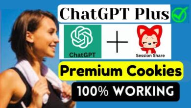 ChatGPT Plus Premium Cookies