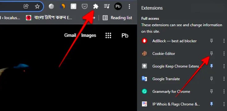 Cookie Editor Extension Icon Pin