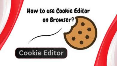 How to use Cookie Editor on Browser