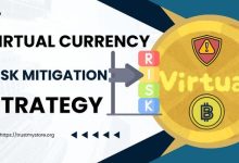 Virtual Currency Risk Mitigation Strategy