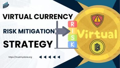 Virtual Currency Risk Mitigation Strategy