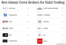 Best Islamic Forex Brokers for Halal Trading